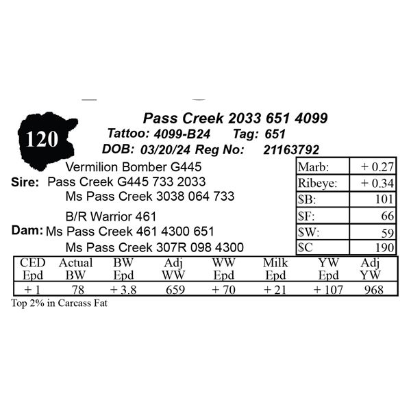 Pass Creek 2033 651 4099
