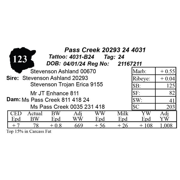 Pass Creek 20293 24 4031