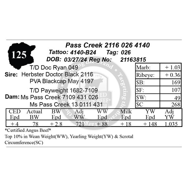 Pass Creek 2116 026 4140