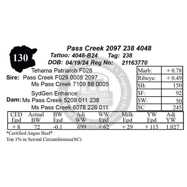 Pass Creek 2097 238 4048