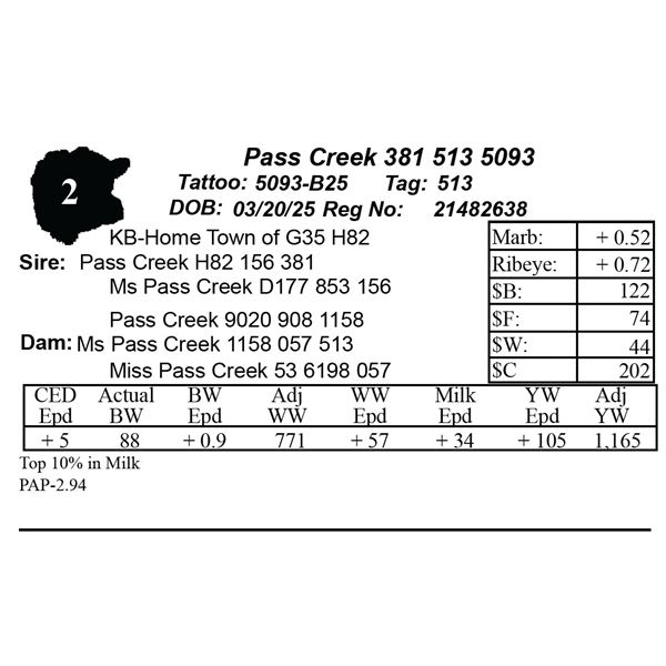 Pass Creek 381 513 5093