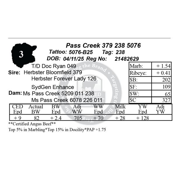 Pass Creek 379 238 5076