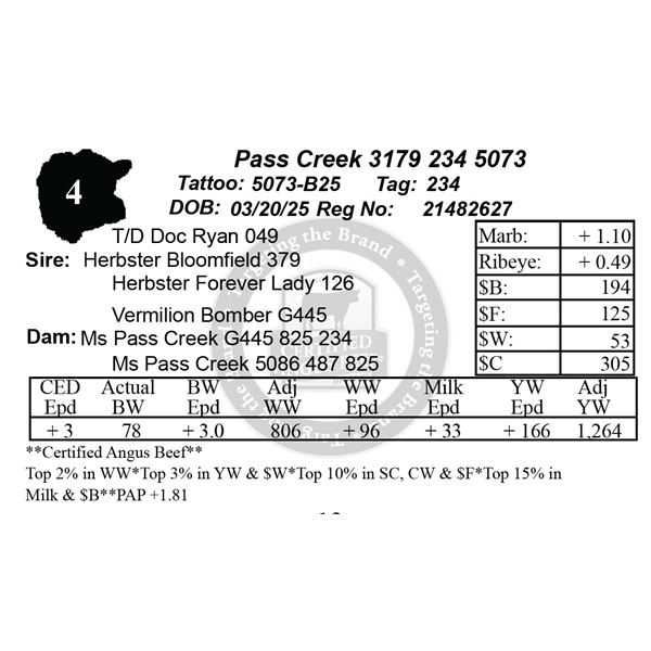 Pass Creek 3179 234 5073