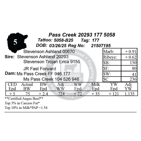 Pass Creek 20293 177 5058