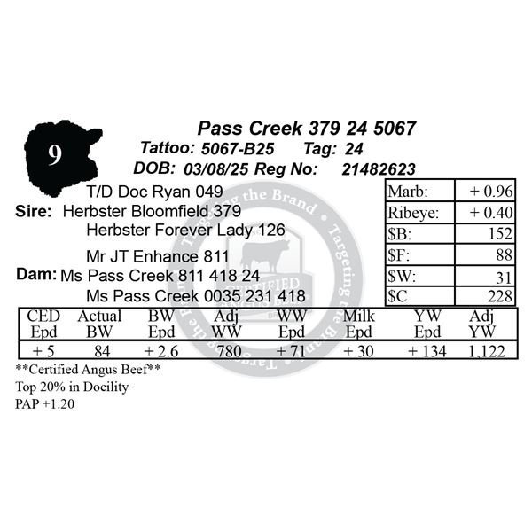 Pass Creek 379 24 5067