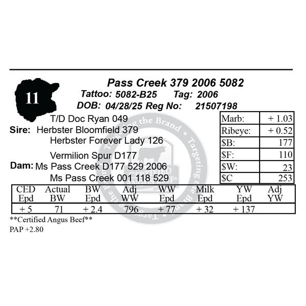 Pass Creek 379 2006 5082