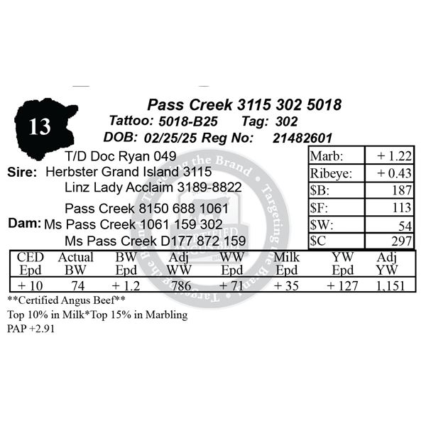 Pass Creek 3115 302 5018