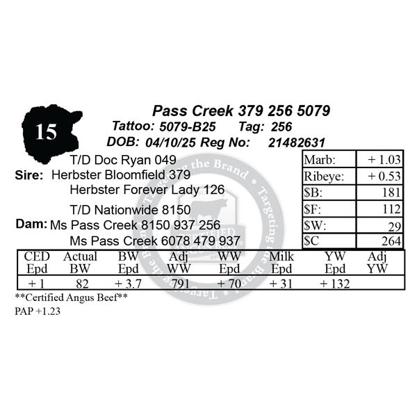 Pass Creek 379 256 5079