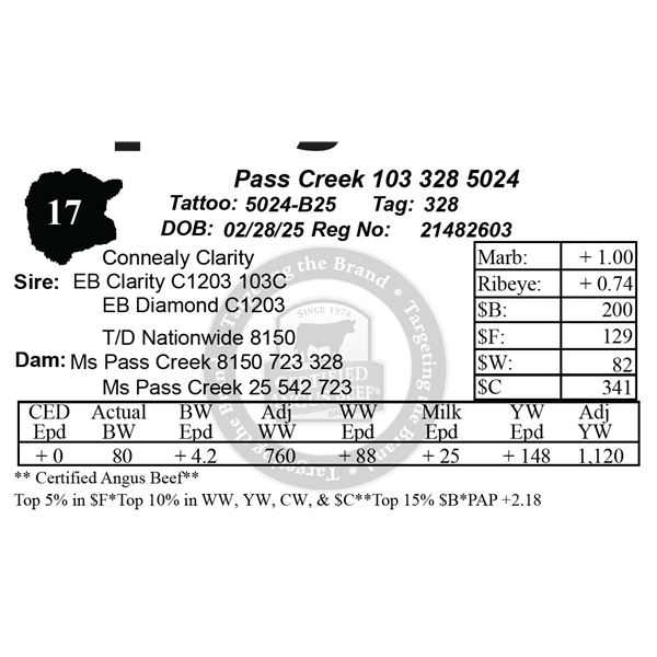 Pass Creek 103 328 5024