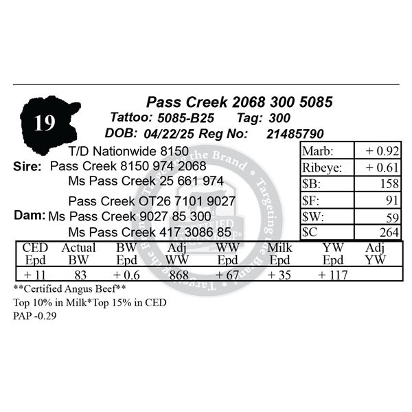 Pass Creek 2068 300 5085