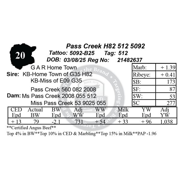 Pass Creek H82 512 5092