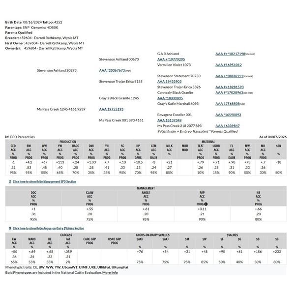 Pass Creek 20293 9239 4252