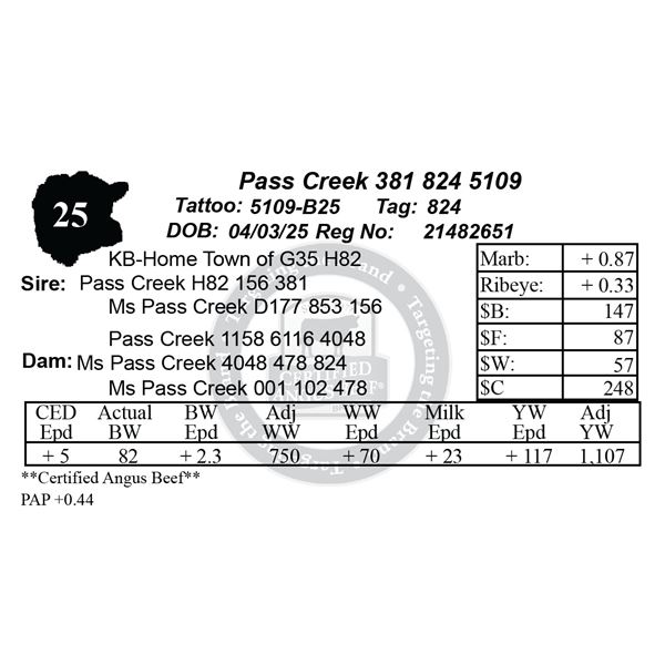 Pass Creek 381 824 5109