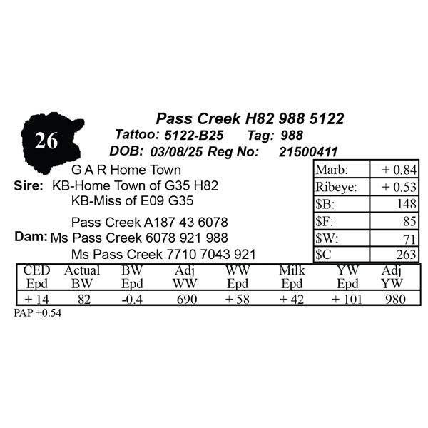 Pass Creek H82 988 5122