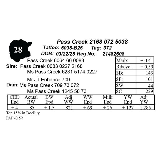 Pass Creek 2168 072 5038