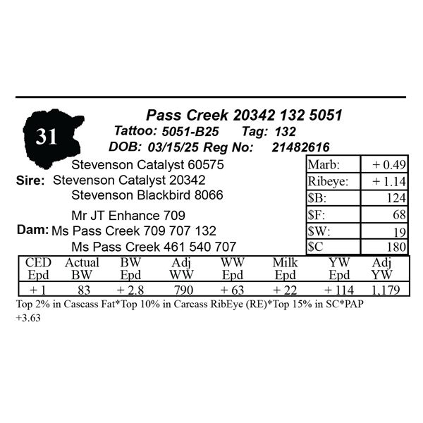 Pass Creek 20342 132 5051