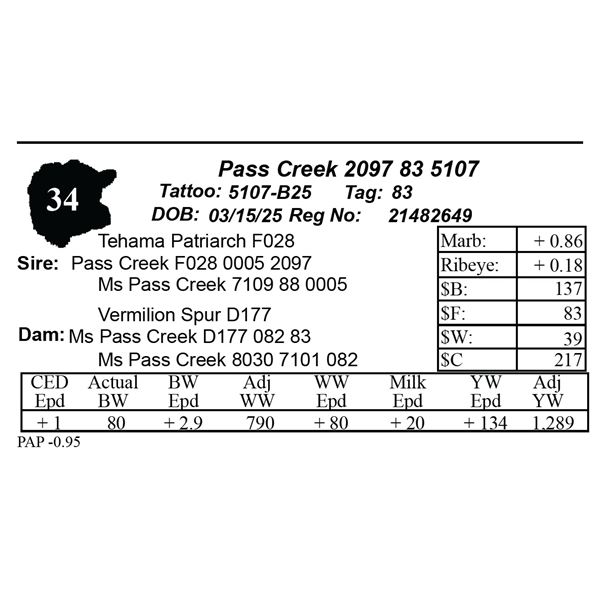 Pass Creek 2097 83 5107