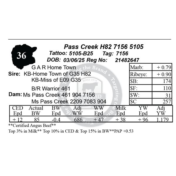 Pass Creek H82 7156 5105