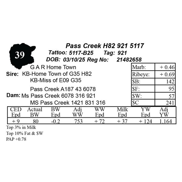 Pass Creek H82 921 5117