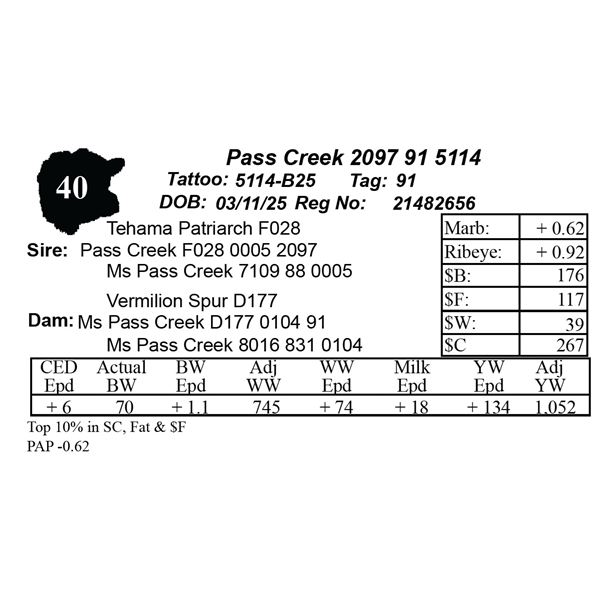 Pass Creek 2097 91 5114