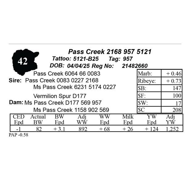 Pass Creek 2168 957 5121