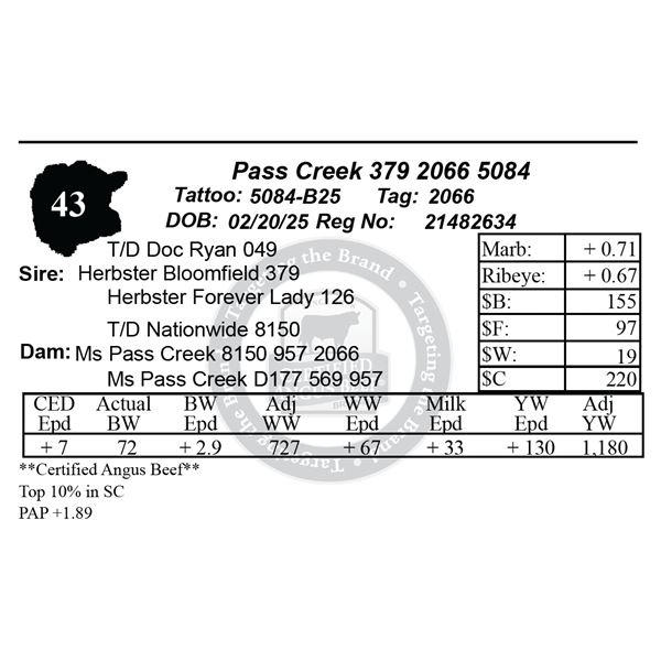 Pass Creek 379 2066 5084