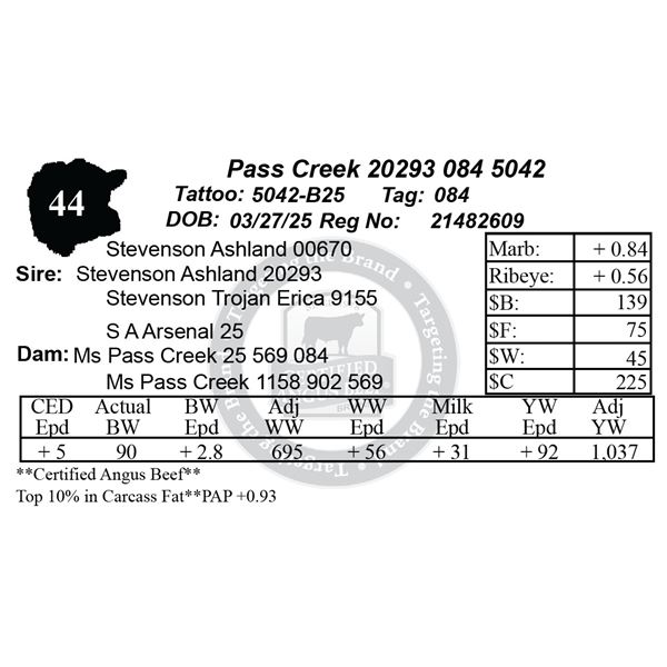 Pass Creek 20293 084 5042