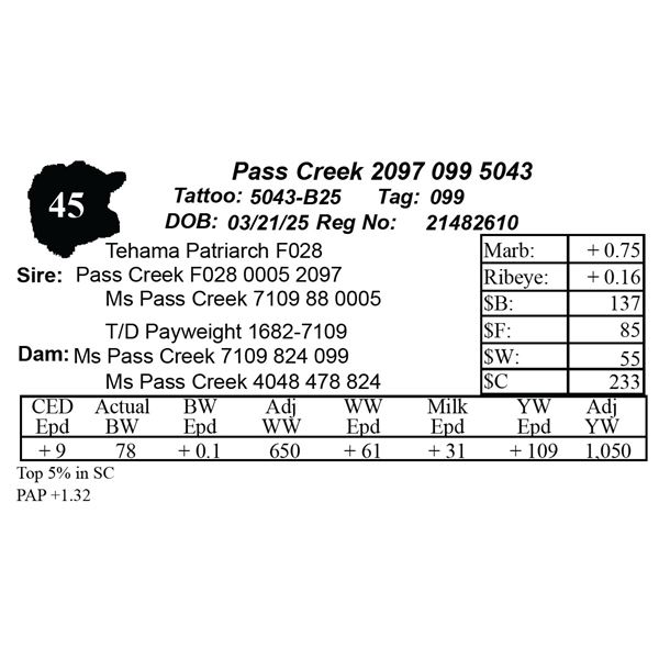 Pass Creek 2097 099 5043