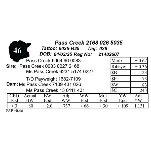 Pass Creek 2168 026 5035