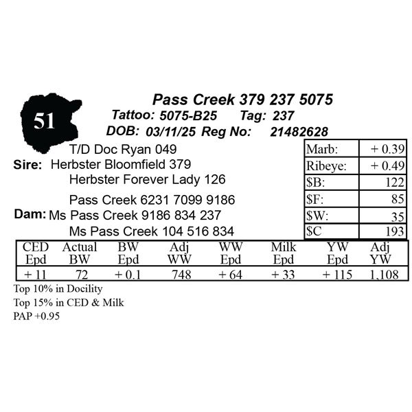 Pass Creek 379 237 5075