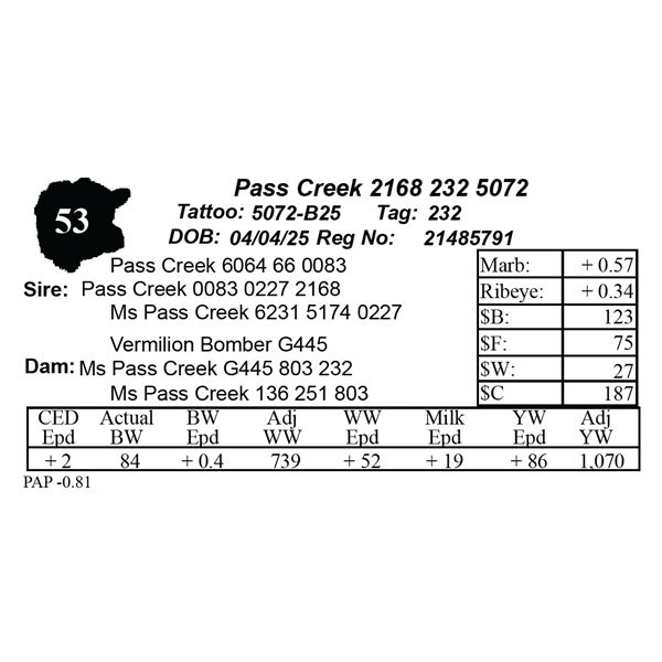 Pass Creek 2168 232 5072