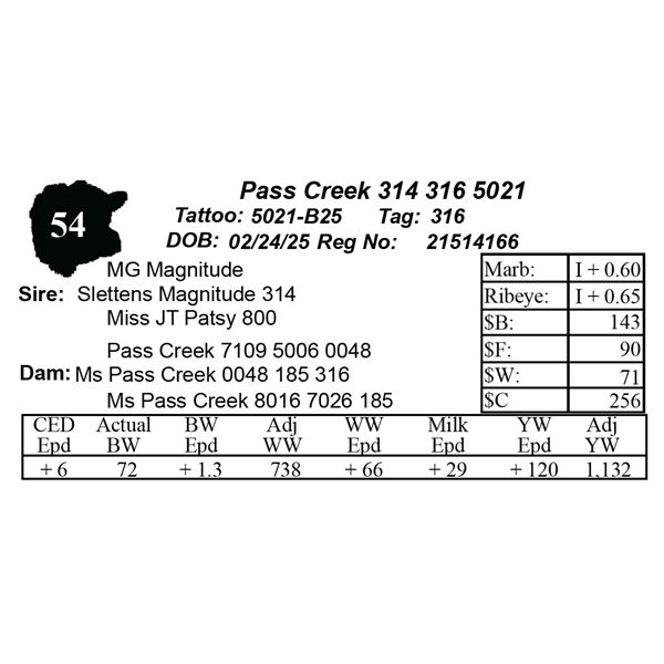 Pass Creek 314 316 5021