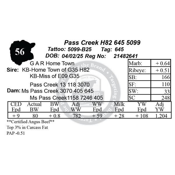 Pass Creek H82 645 5099