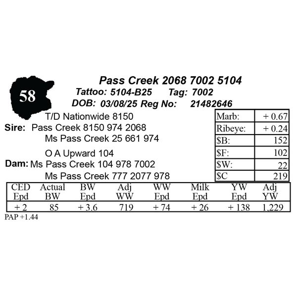 Pass Creek 2068 7002 5104