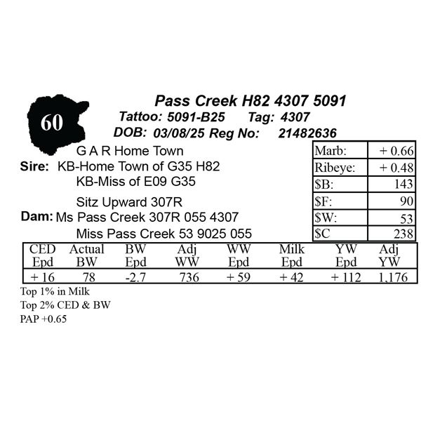 Pass Creek H82 4307 5091