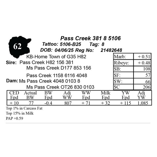 Pass Creek 381 8 5106