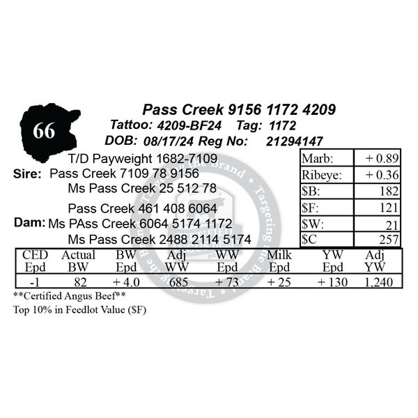 Pass Creek 9156 1172 4209