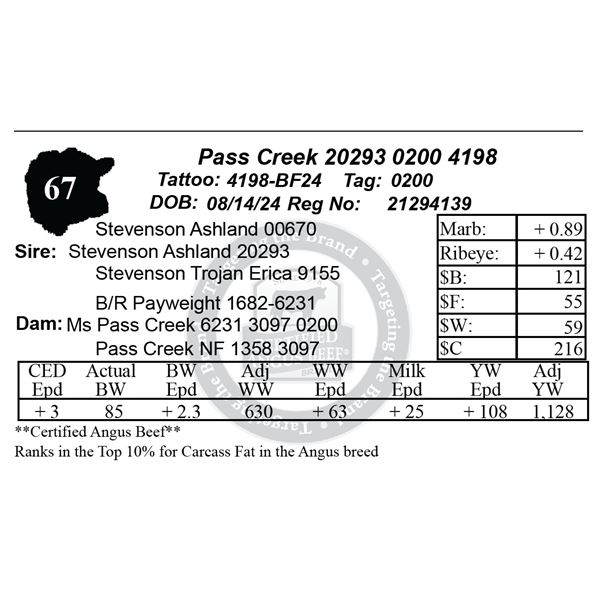 Pass Creek 20293 0200 4198