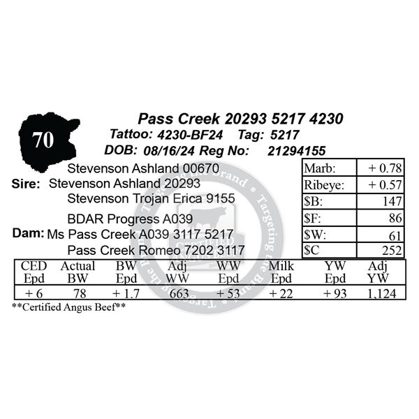 Pass Creek 20293 5217 4230