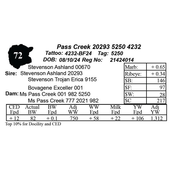 Pass Creek 20293 5250 4232