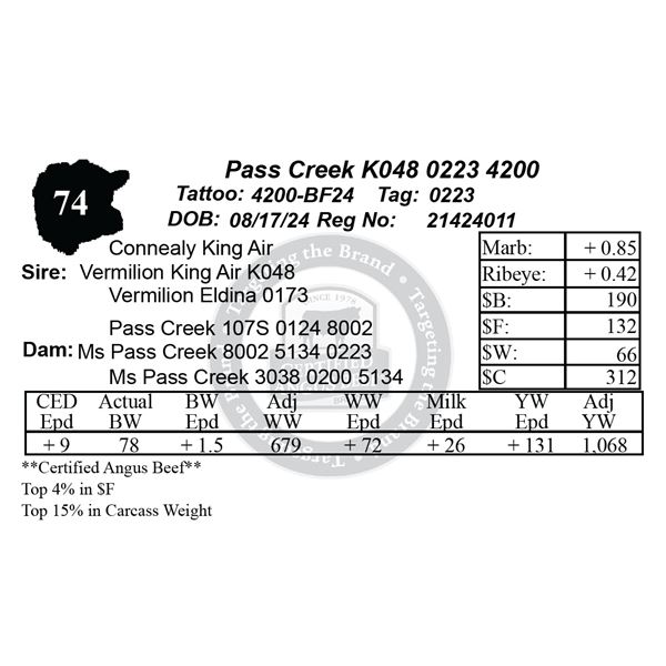 Pass Creek K048 0223 4200