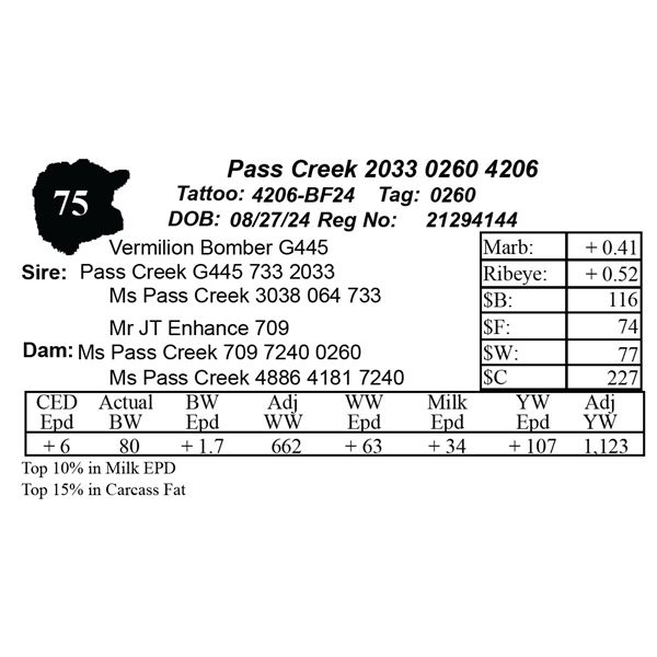 Pass Creek 2033 0260 4206