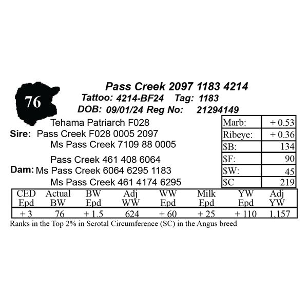 Pass Creek 2097 1183 4214