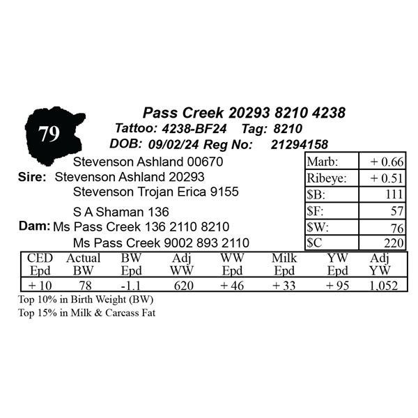 Pass Creek 20293 8210 4238