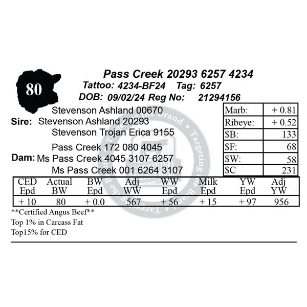 Pass Creek 20293 6257 4234