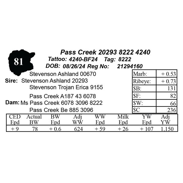 Pass Creek 20293 8222 4240