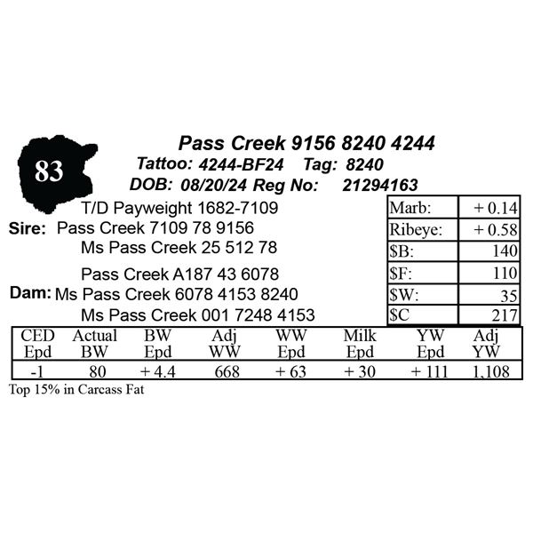 Pass Creek 9156 8240 4244