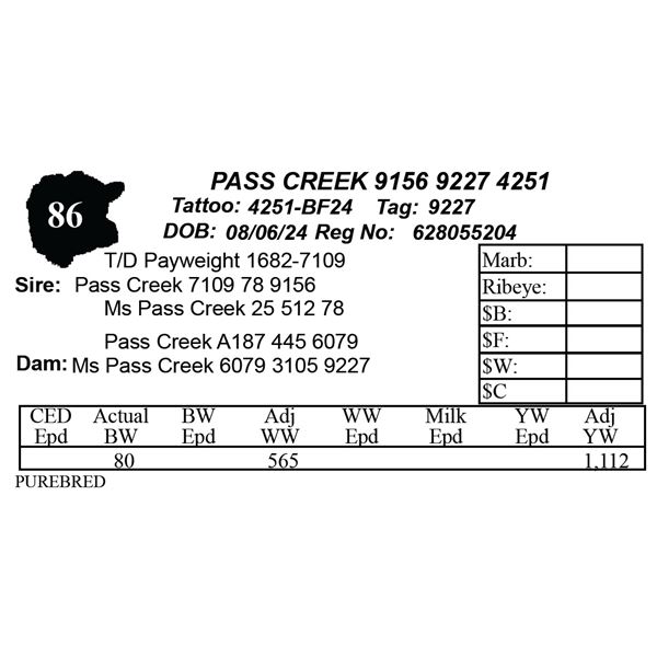 PASS CREEK 9156 9227 4251