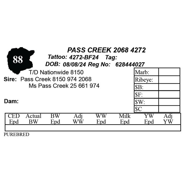 PASS CREEK 2068 4272