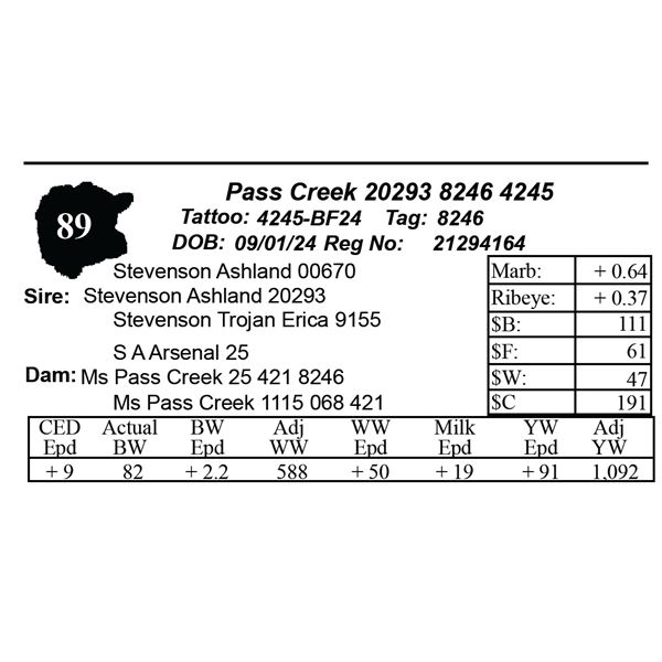 Pass Creek 20293 8246 4245